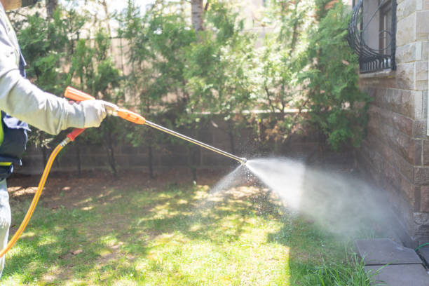 Best Wildlife Control Services  in Arnold, MO