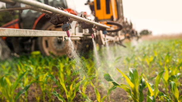Best Mosquito Control Services  in Arnold, MO